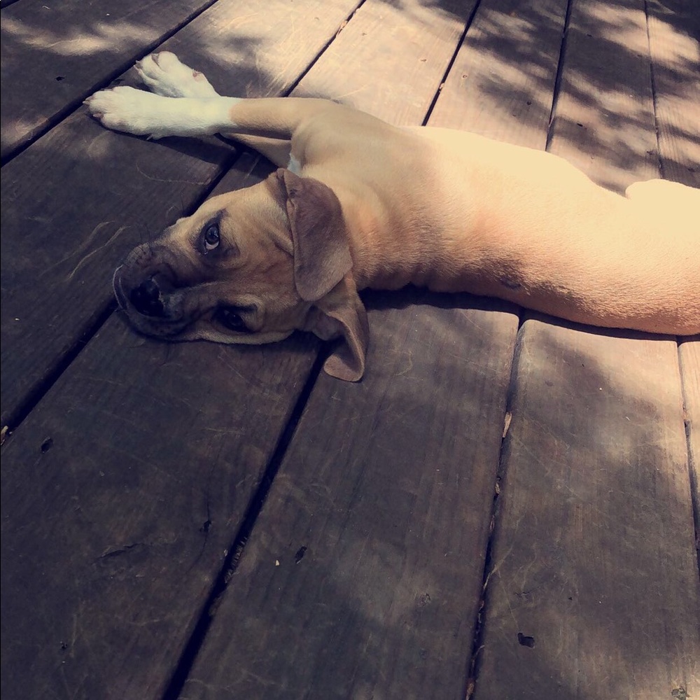 Meet your Posher, Ashley